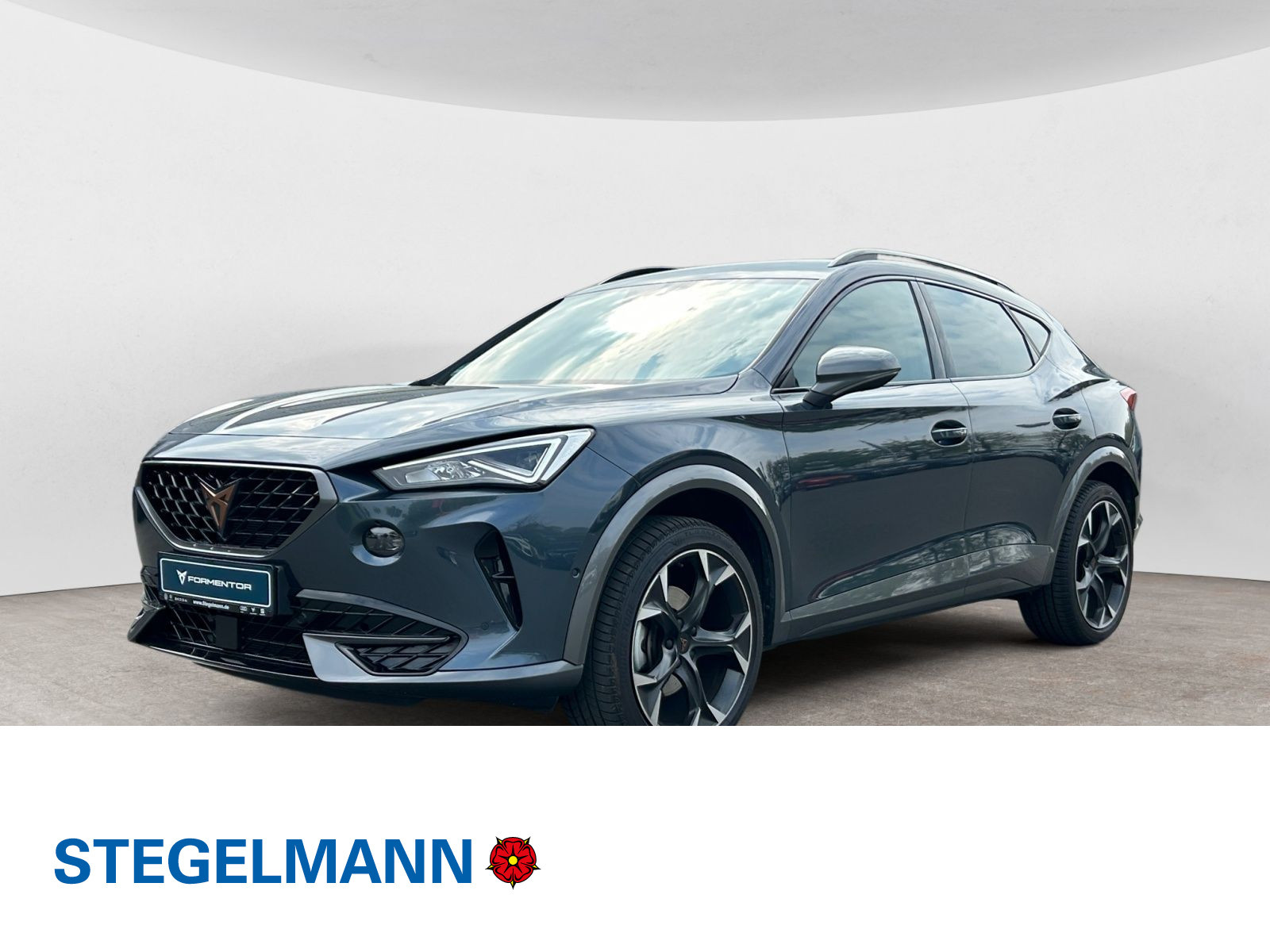 Formentor 2.0 TDI DSG 4Drive Paket XL *LED*Navi*Kamera*